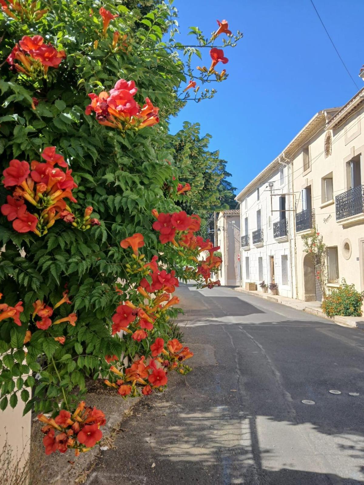 L'Oostaloo Logement De Vacances Usclas-l'Herault Buitenkant foto